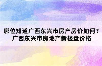 哪位知道广西东兴市房产房价如何？ 广西东兴市房地产新楼盘价格